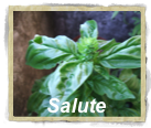 Salute